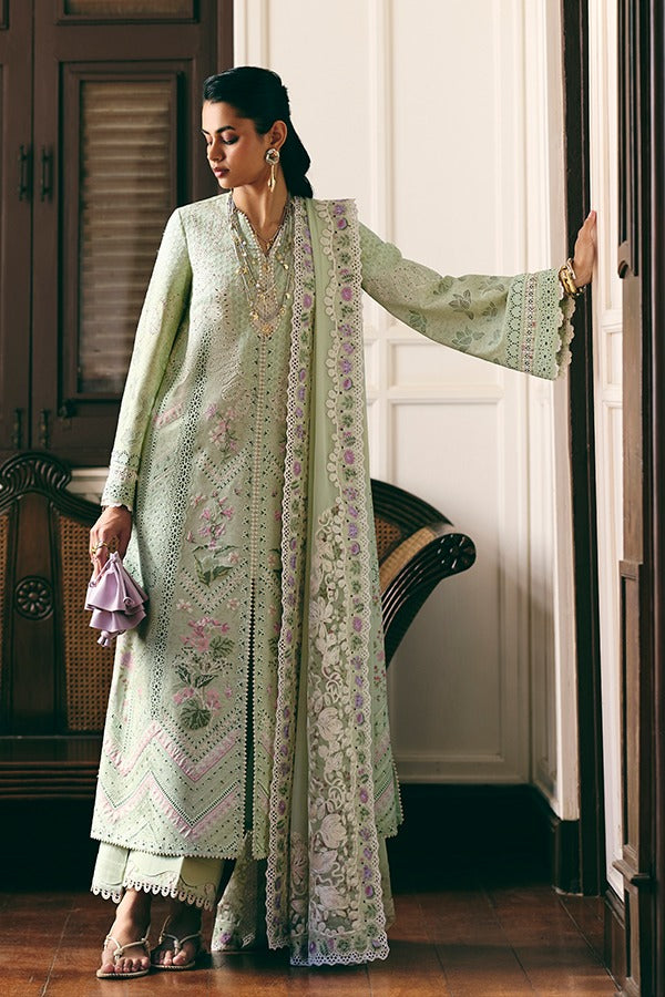 Areeha Prettily Suffuse