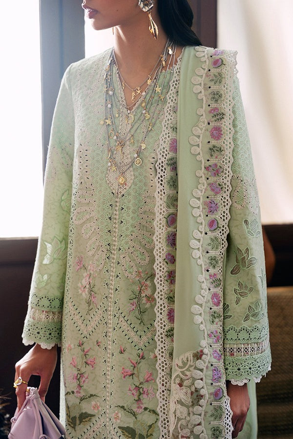 Areeha Prettily Suffuse